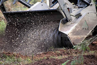 Der Forstmulcher zerkleinert Rest- und Totholz sowie Baumwurzeln auf dem Waldboden und mulcht das Material vollständig in den Boden ein