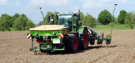 8-reihiges Maisdrillen im Mulchssatverfahren mit Amazone EDK