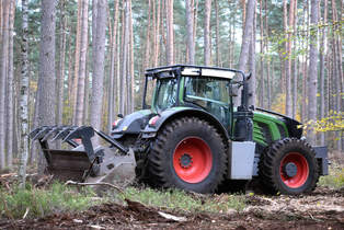 Vorbereitung von Naturverjüngungs-Maßnahmen